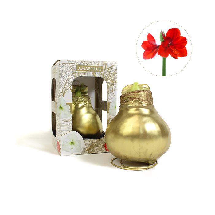 Bloemen