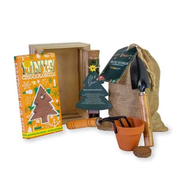 Plant je eigen kerstboom