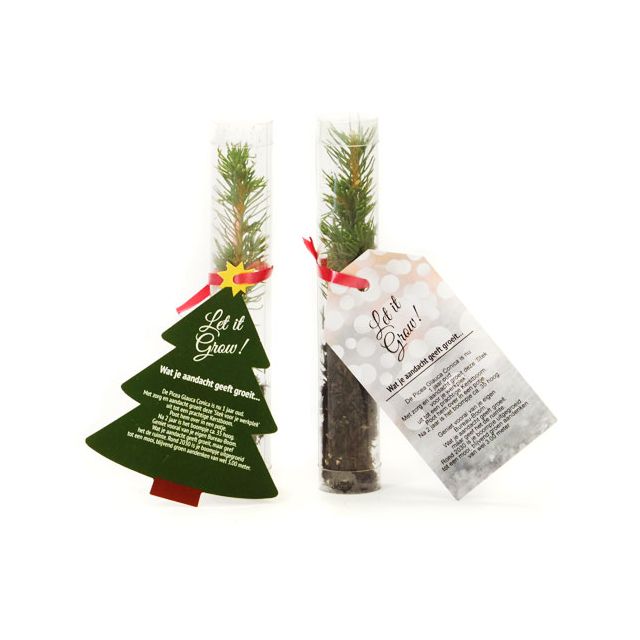 Mini Kerstboom - Kerstgeschenken.nl