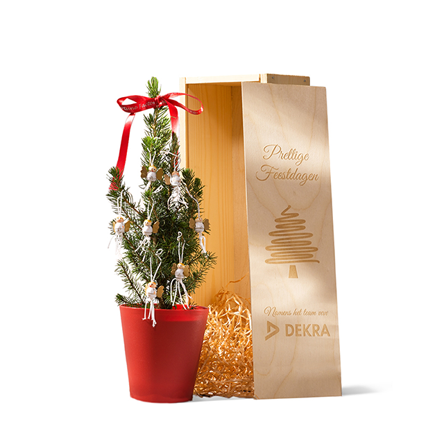 Kerstboom Kopen? Goedkope Mini Kerstbomen Online