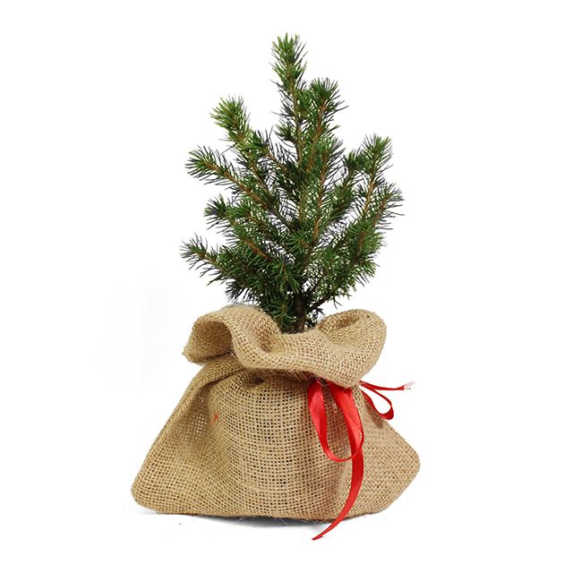 Jute zak met bureau kerstboompje