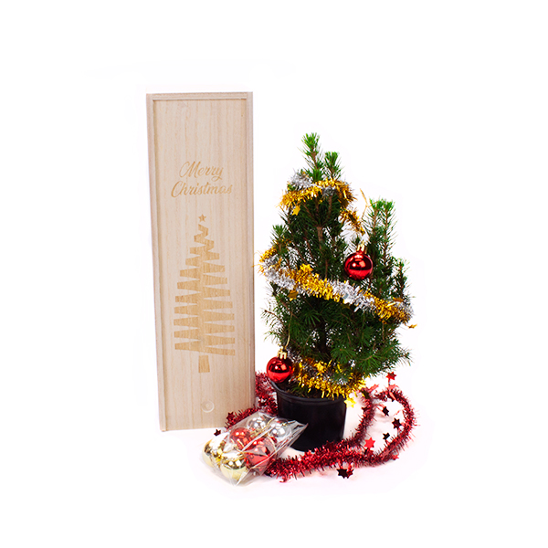 mini kerstbomen