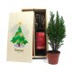 Kerst