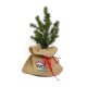 Kerstboom