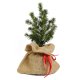 Kerstboom