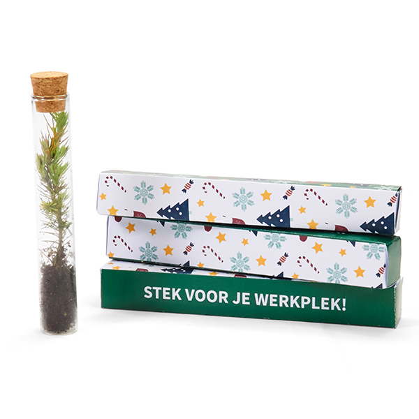 Stek voor je werkplek boom in buisje