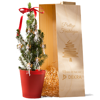 Kerst<p>geschenken</p>