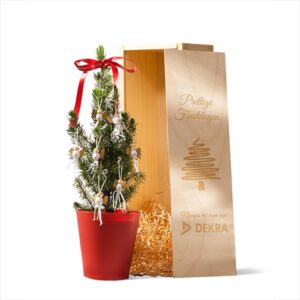 Kerstboom geschenkkist