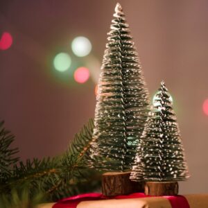 Waarom je een kerstboom als relatiegeschenk moet weggeven