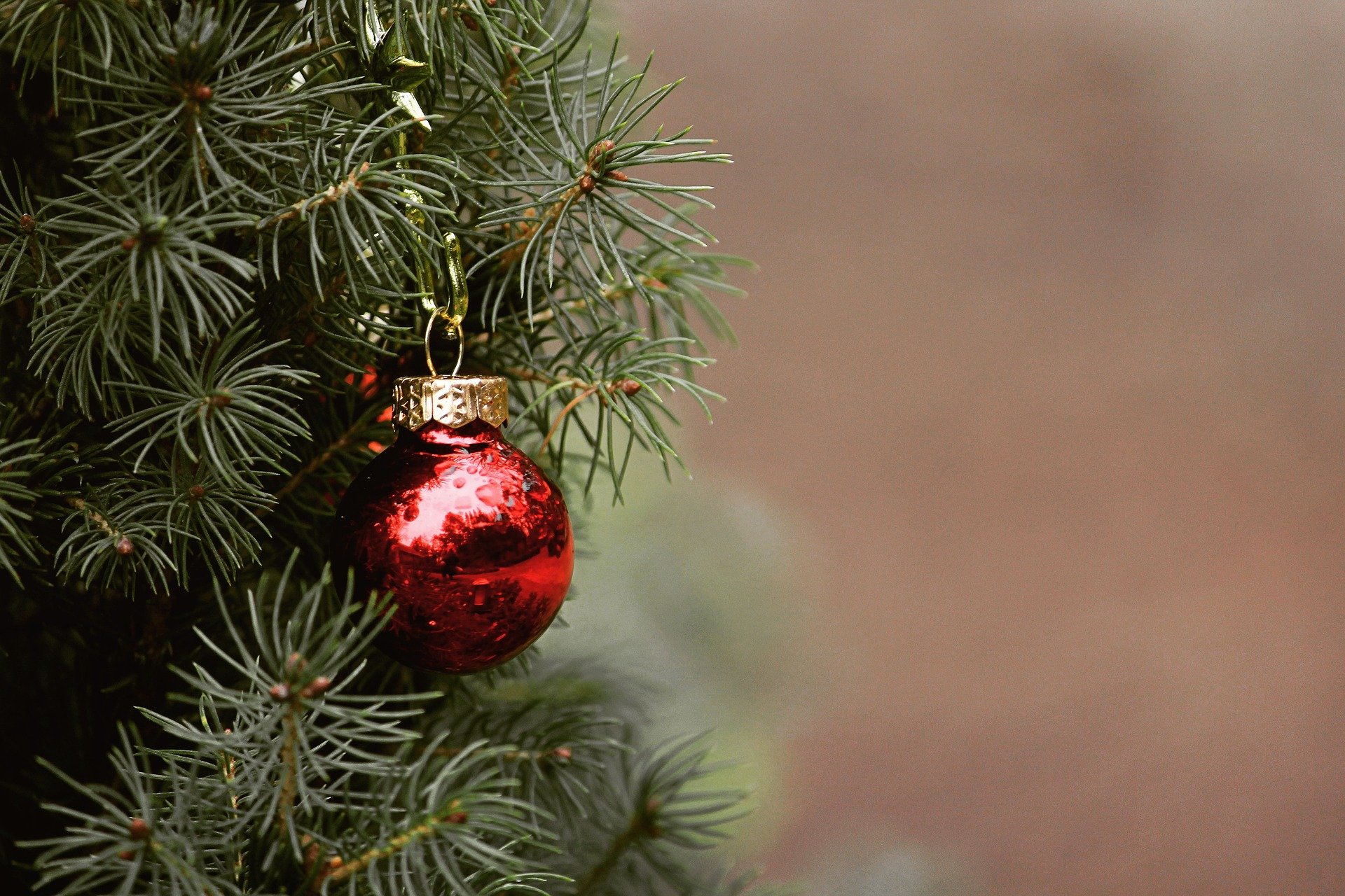 3 redenen om te kiezen voor een echte kerstboom boven een kunstkerstboom